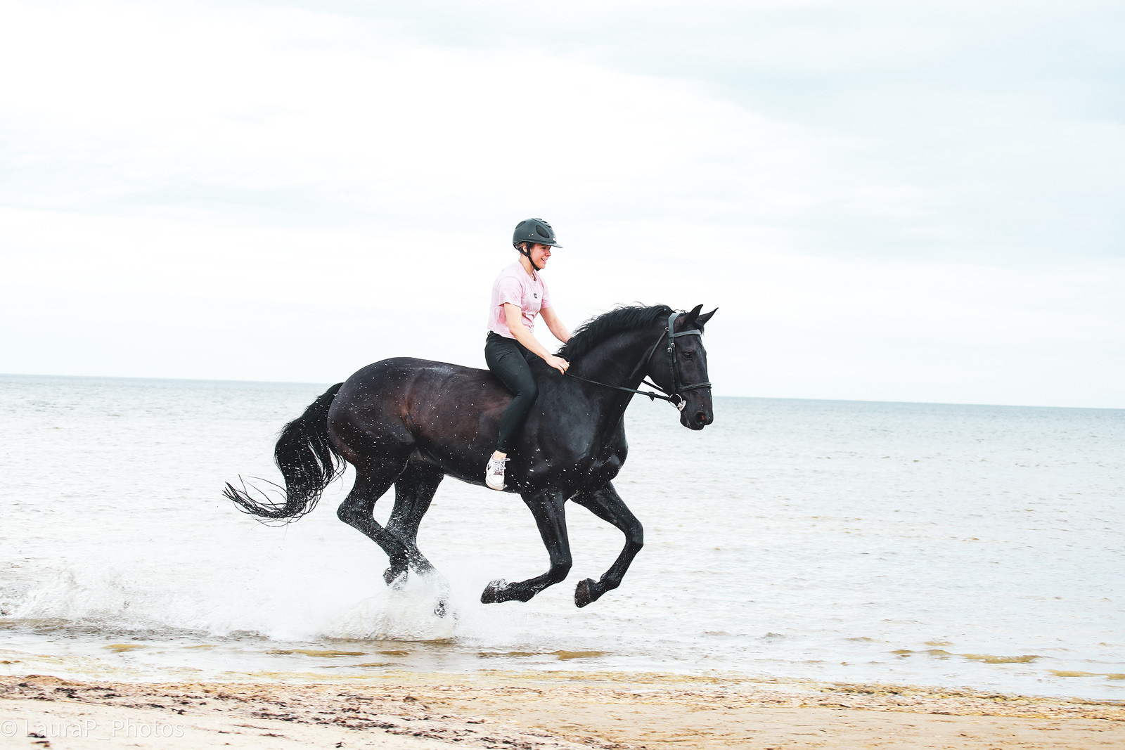 A competition showjumper, illustrating what a jumper costs by level