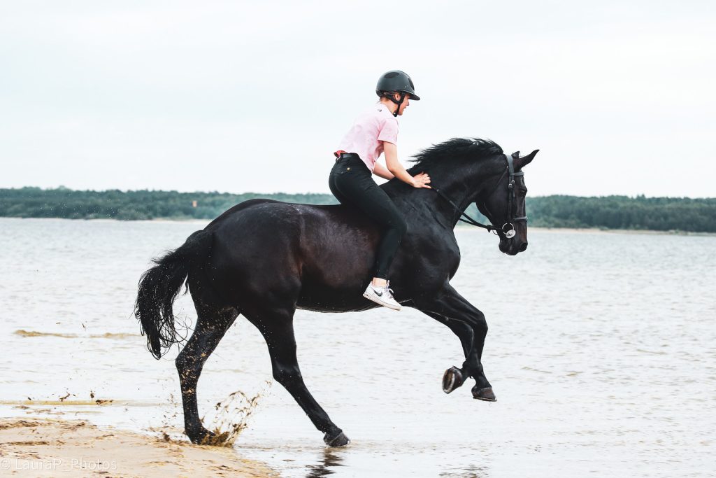 Working With a Buyer’s Agent: How Horse Sourcing Works