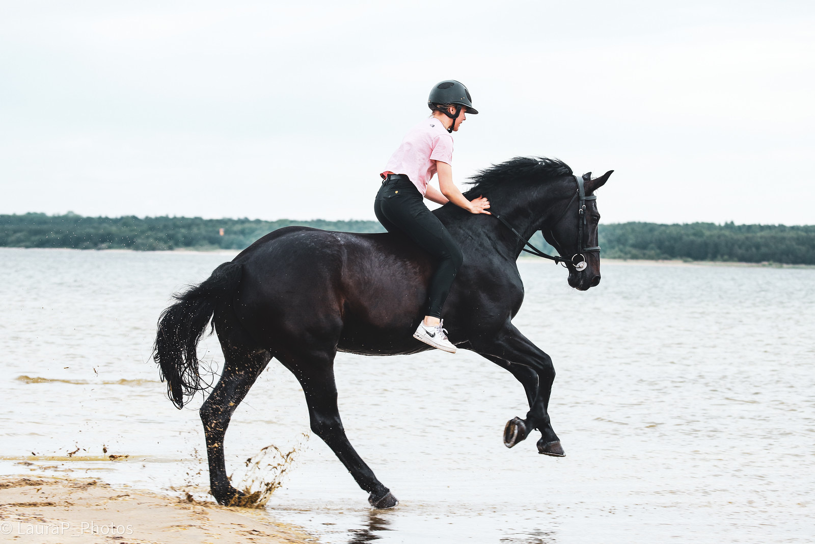 Working With a Buyer’s Agent: How Horse Sourcing Works