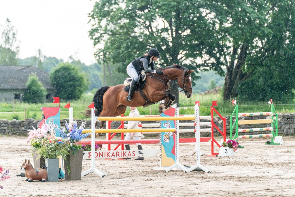 A pre purchase exam of a showjumper, assessing soundness before the horse cost is agreed