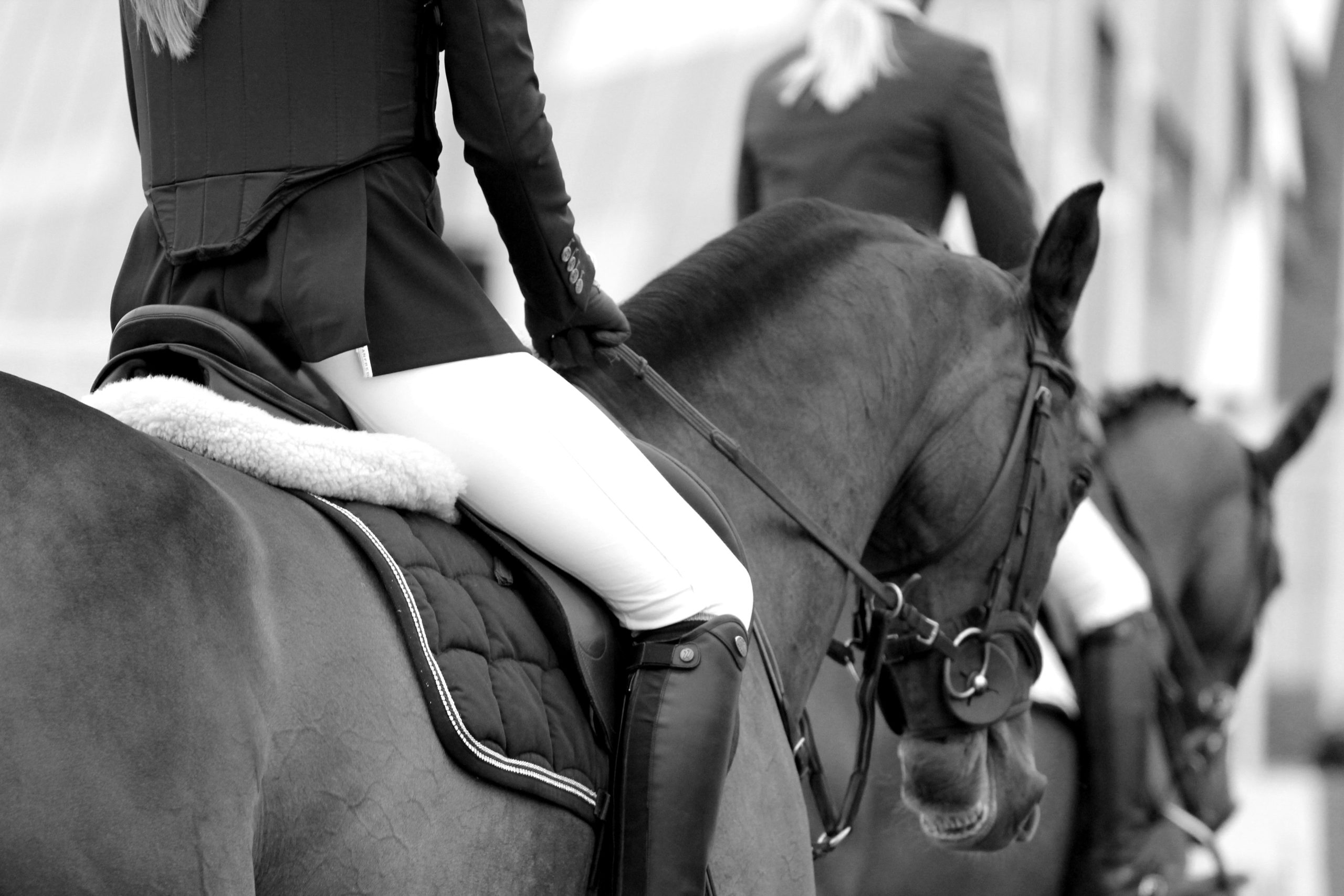 Riders warming up horses in the collecting ring at a European sport horse show