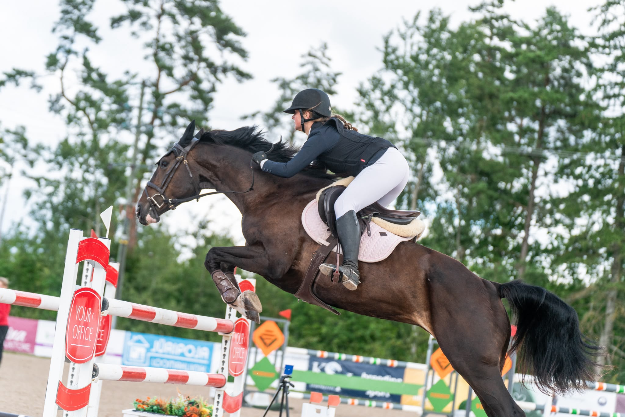 A bay sport horse mare jumping in good form over a fence