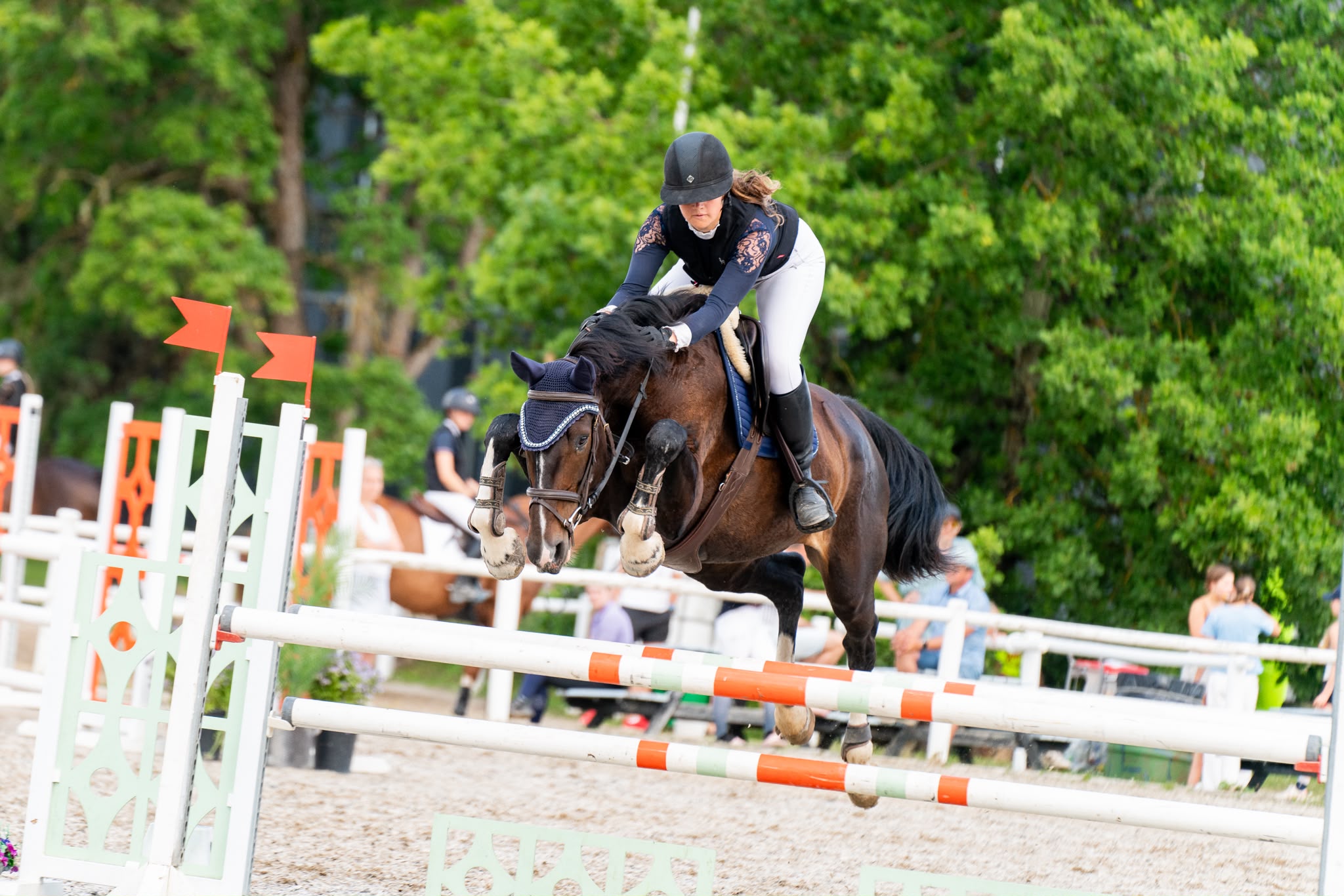 A bay sport horse mare jumping through a combination at a show