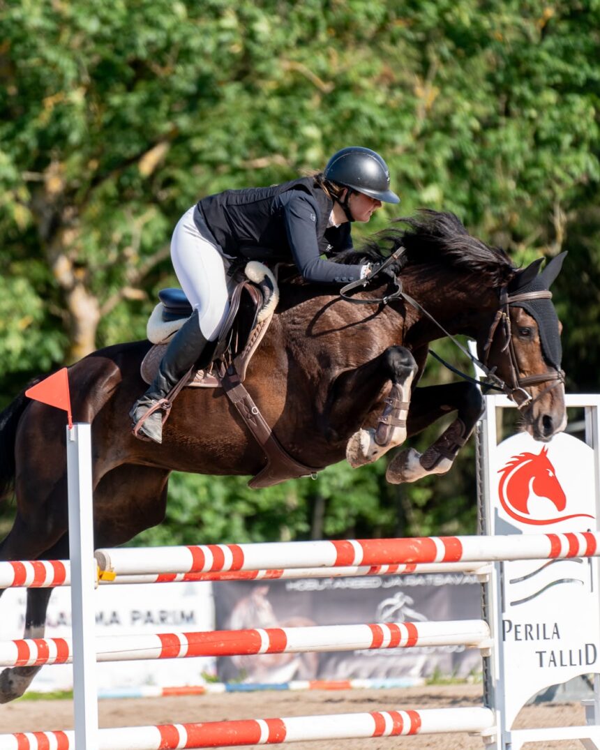 2019 Estonian Sport Horse Mare, Careful & Quick to 1.25m