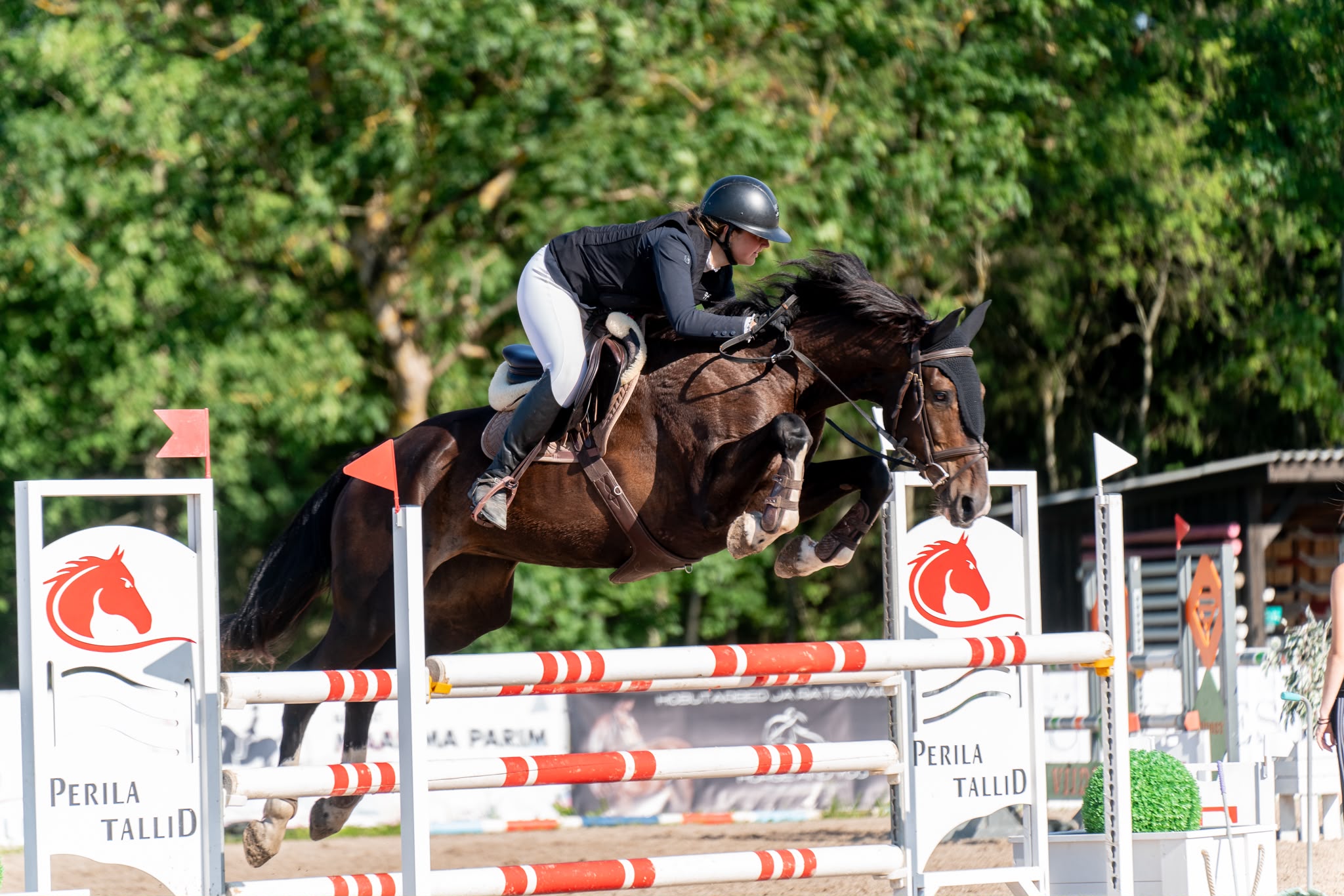 2019 Estonian Sport Horse Mare, Careful & Quick to 1.25m