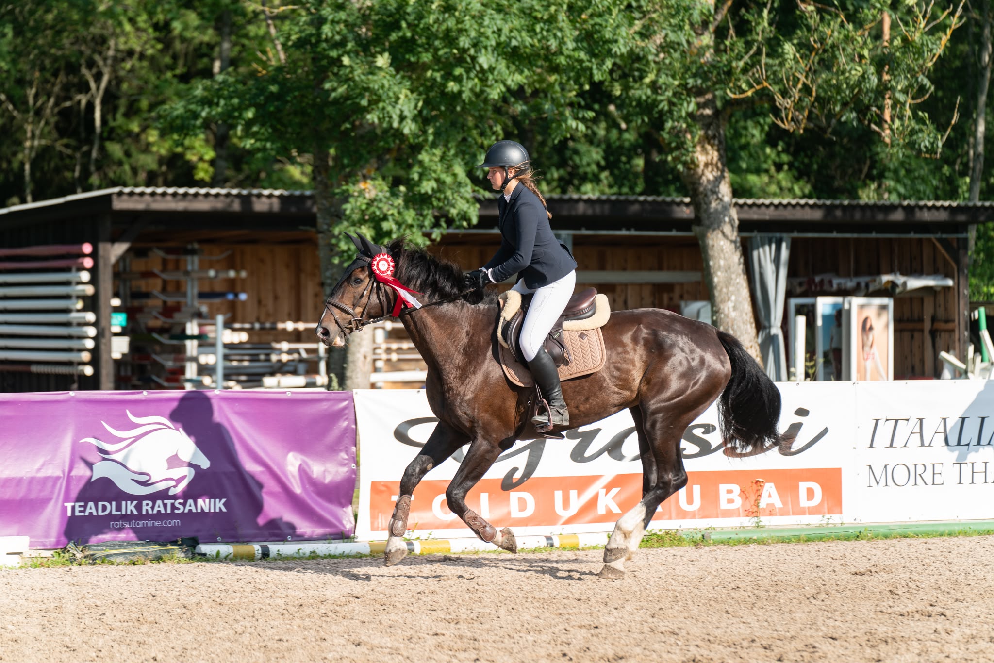 A bay mare cantering in the arena at a competition