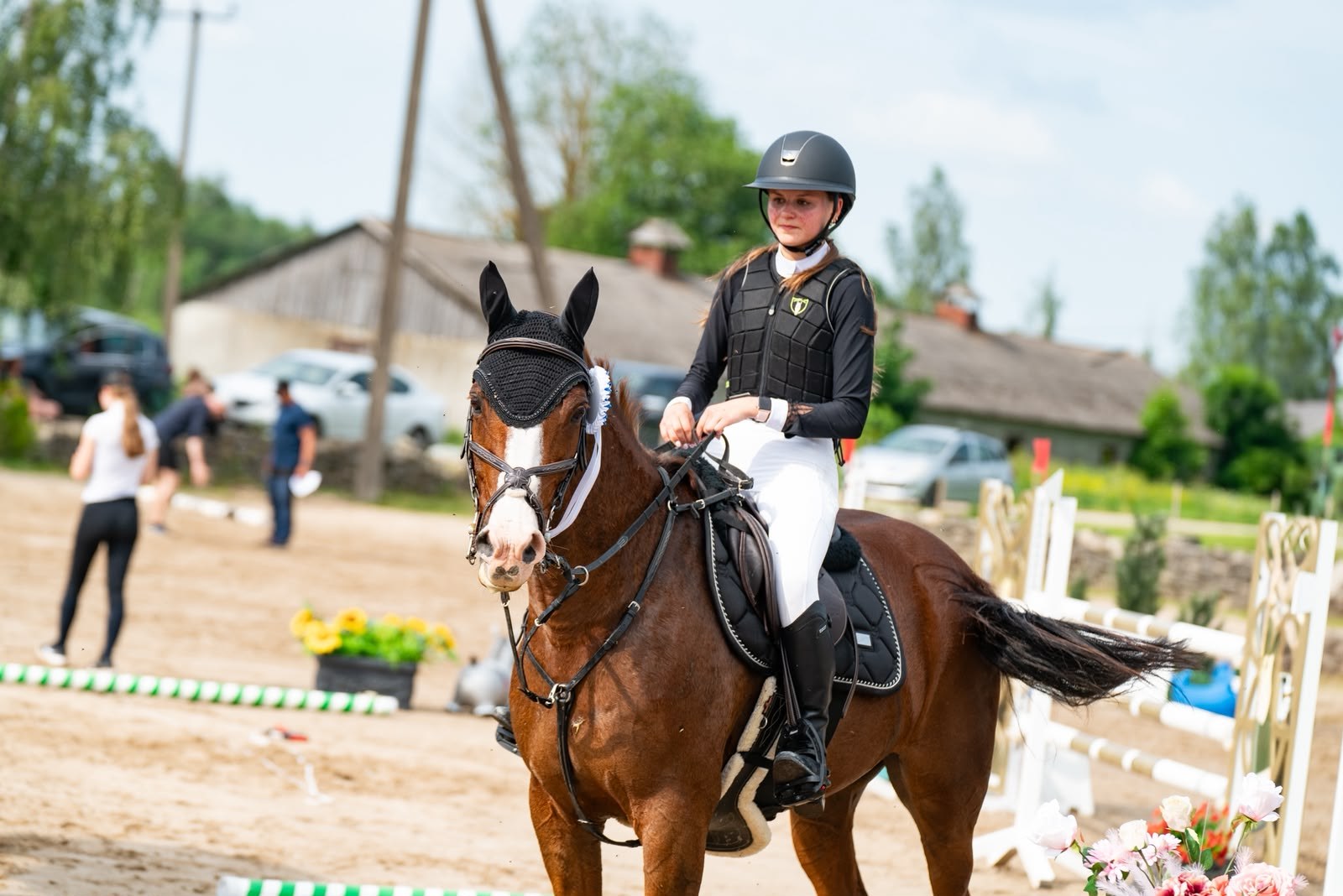 Chestnut gelding with a broad blaze ridden at a showjumping competition
