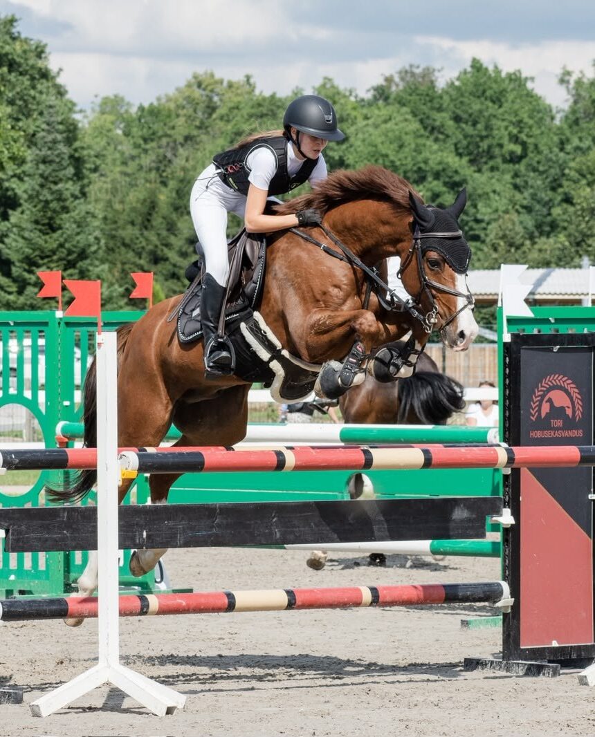 2016 Gelding, Careful — Winning to 105cm with Scope for Higher