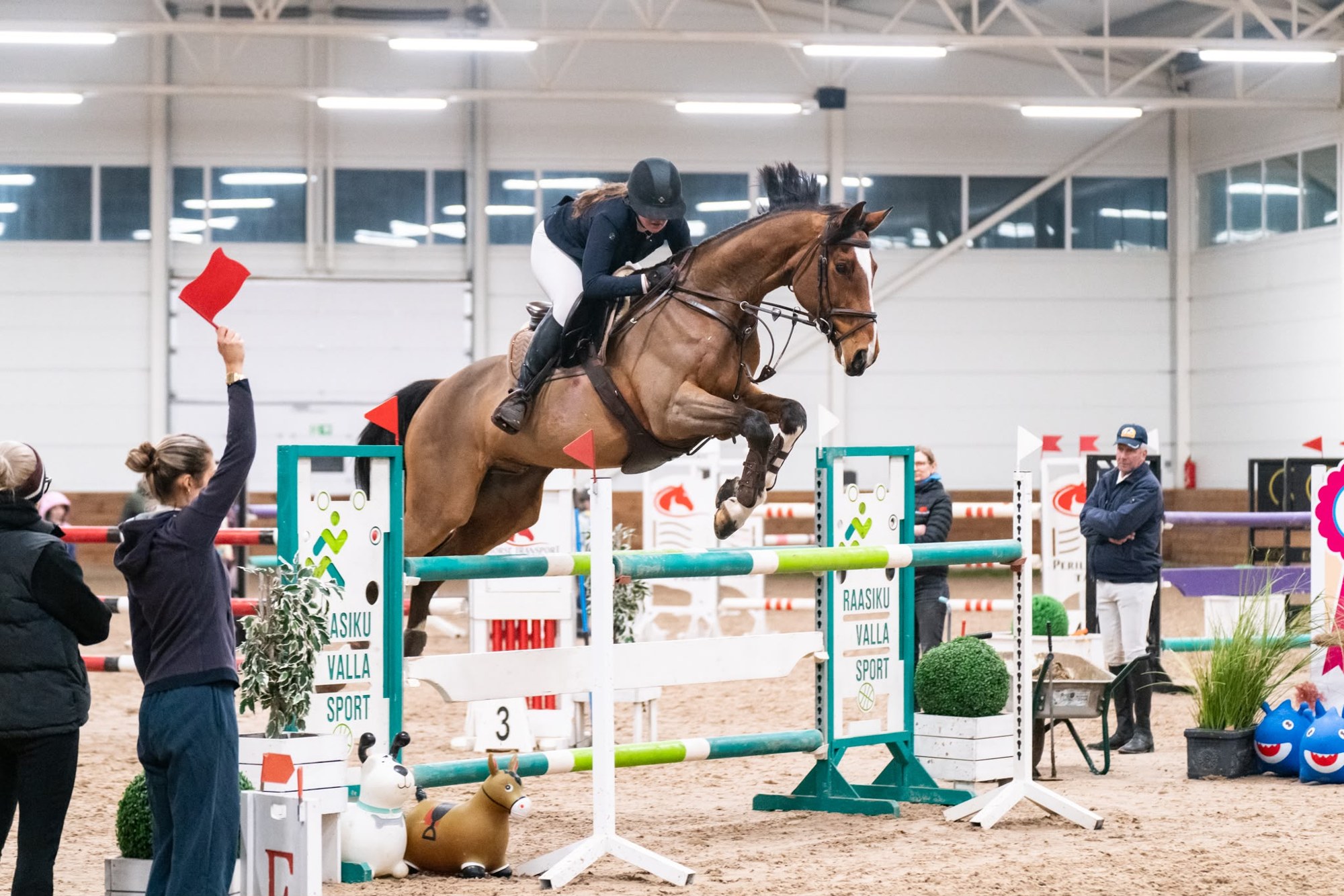 Bay gelding jumping an oxer in an indoor arena competition