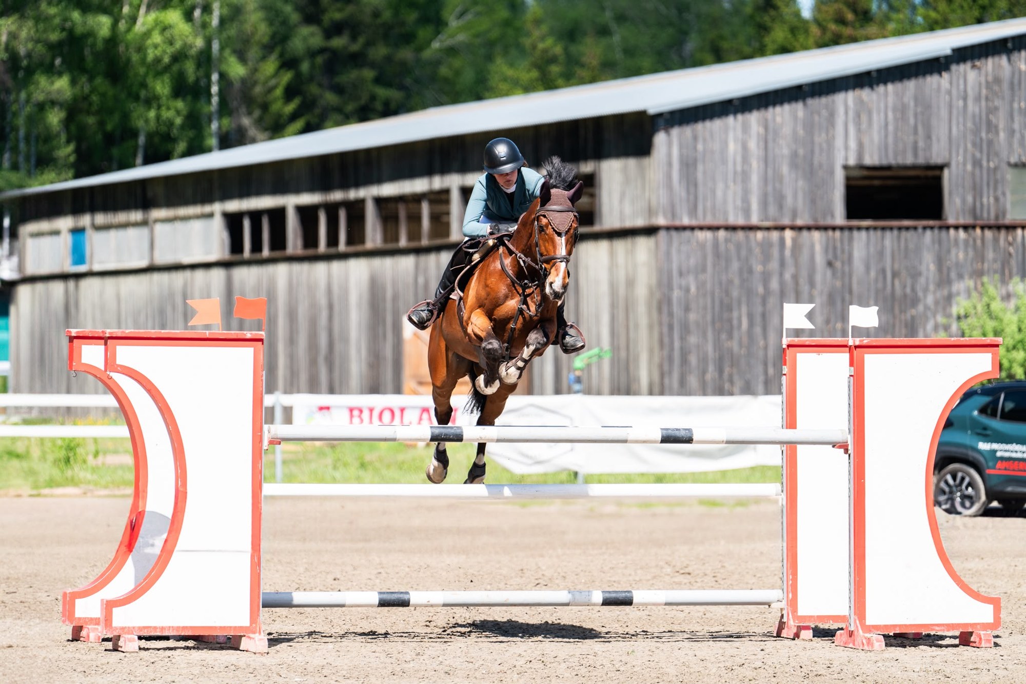 Bay gelding clearing a vertical with a tidy front end