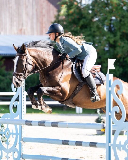 Bay 2017 Latvian Warmblood gelding jumping a vertical with a round, even front end