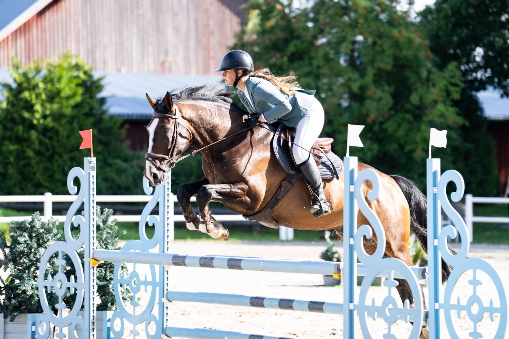 Bay 2017 Latvian Warmblood gelding jumping a vertical with a round, even front end