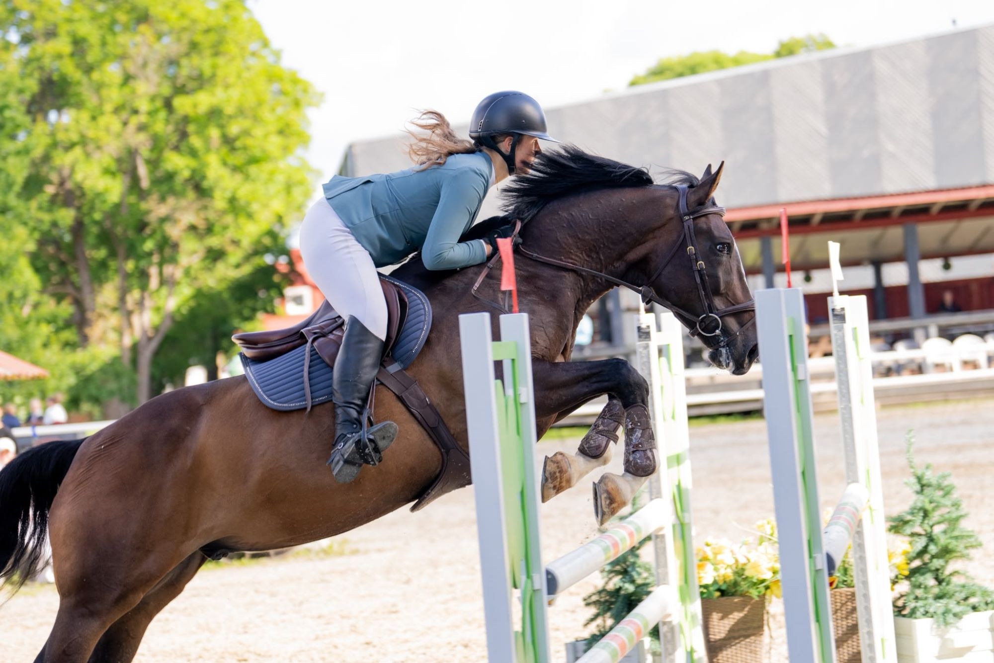Bay gelding clearing a vertical at a showjumping competition in Estonia