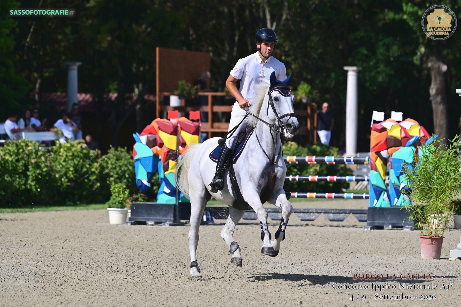 Grey mare cantering in the competition arena between fences