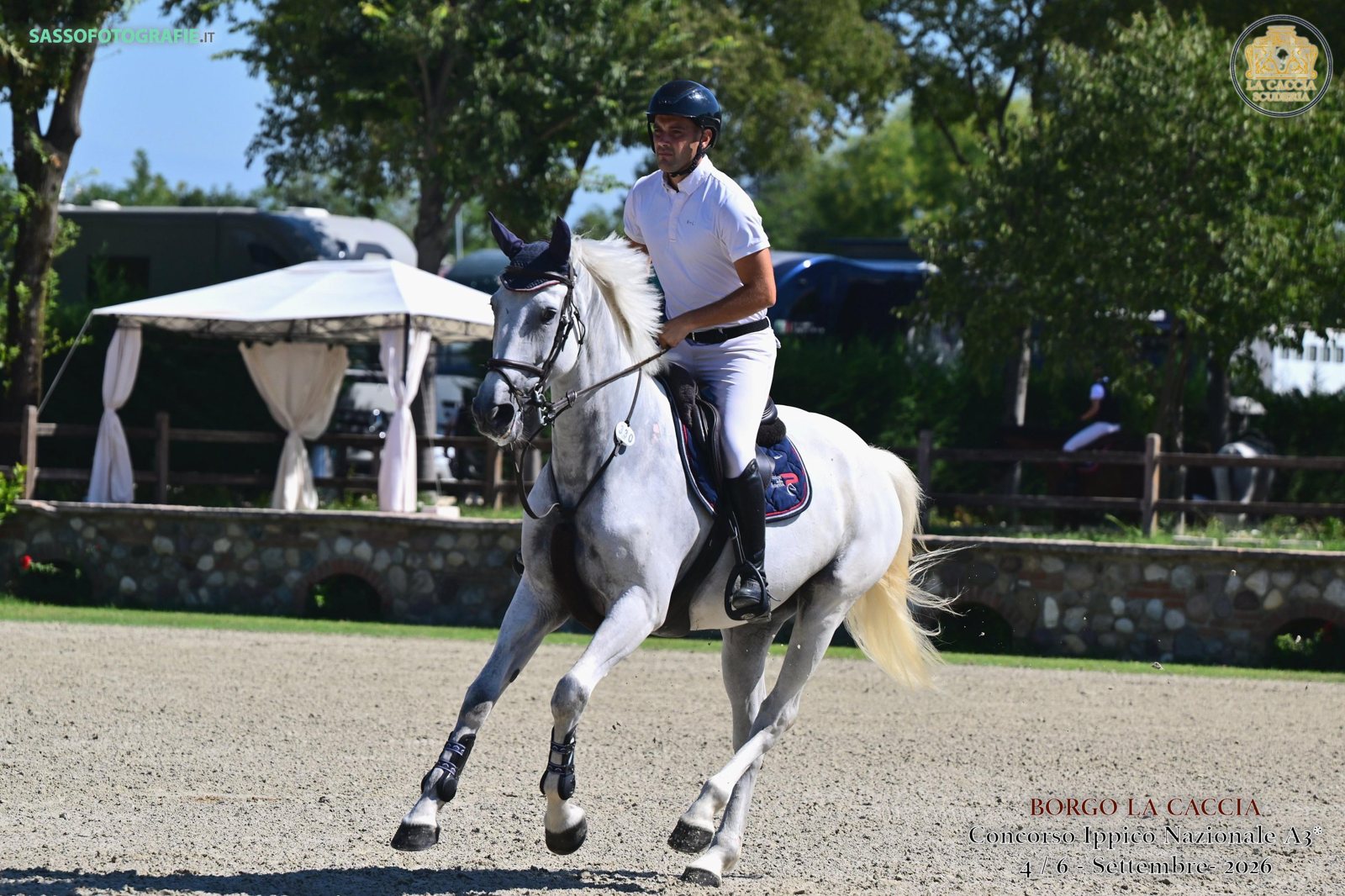 Grey Zangersheide mare in the ring at an Italian national show