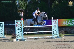 2020 Zangersheide Mare, Competing 1.30m with Potential for More