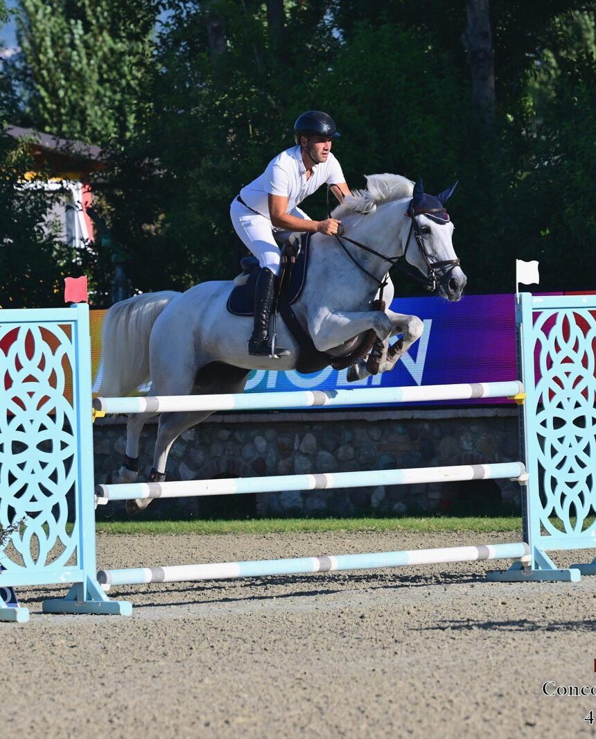 2020 Zangersheide Mare, Competing 1.30m with Potential for More