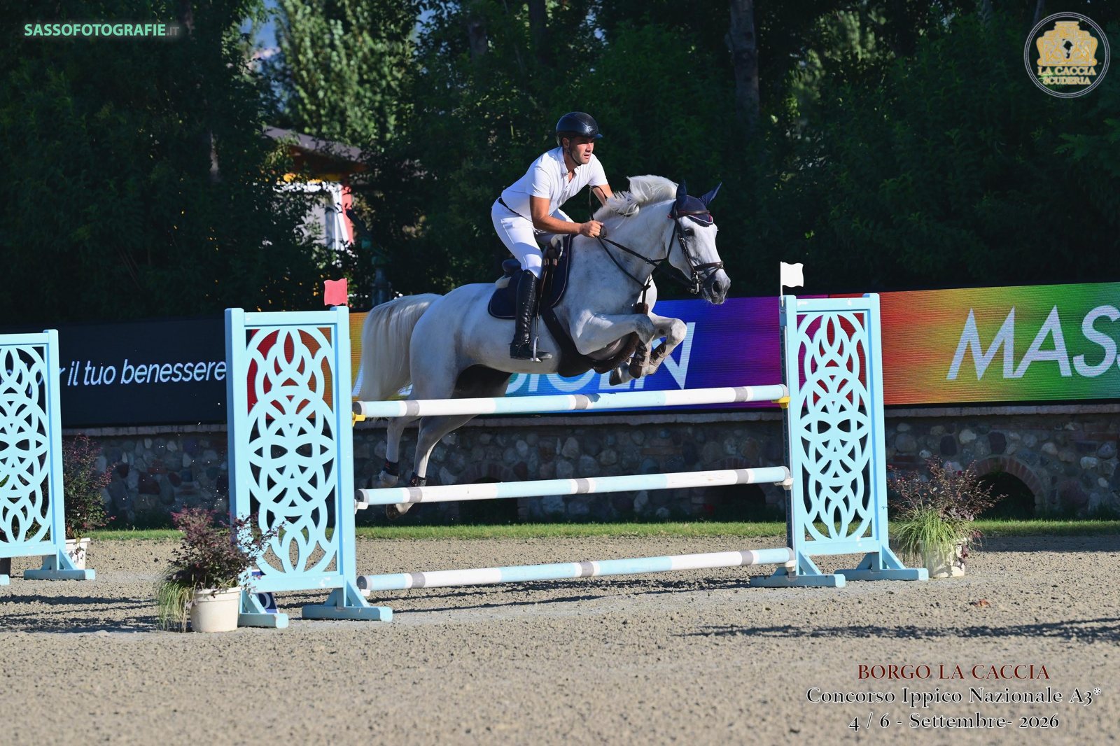 Grey 2020 mare jumping in a young-horse class in Italy