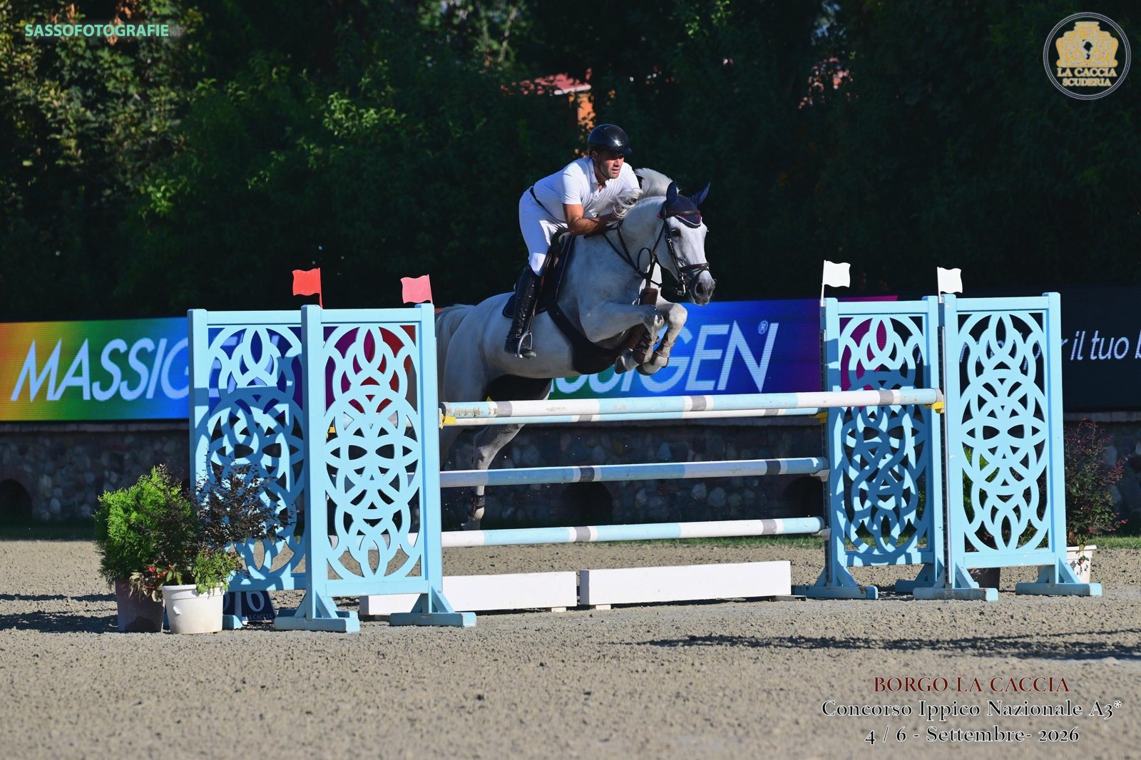 Grey six-year-old mare clearing an oxer with a tidy front end