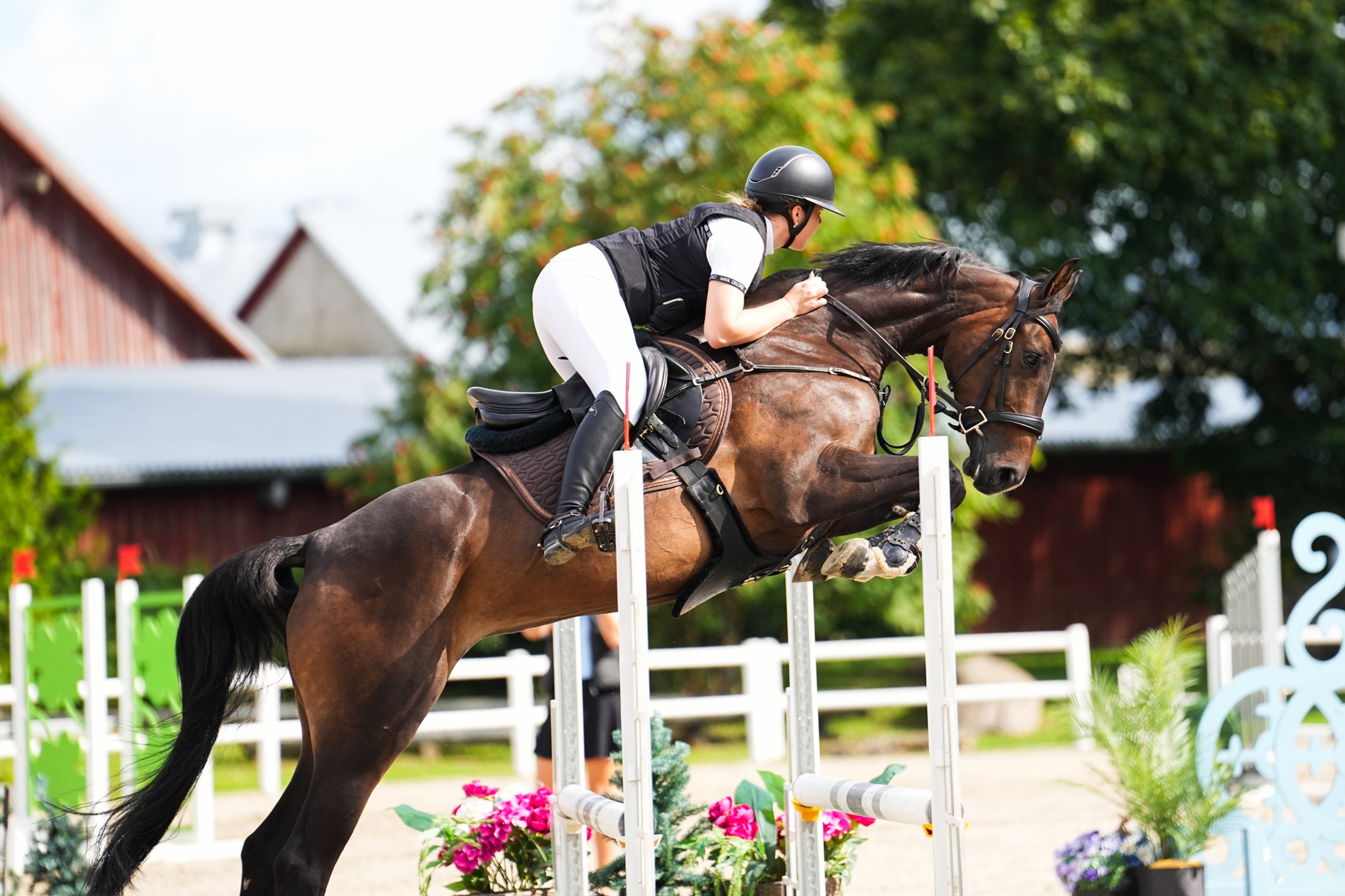 Showjumper and rider clearing a fence at a competition in Estonia