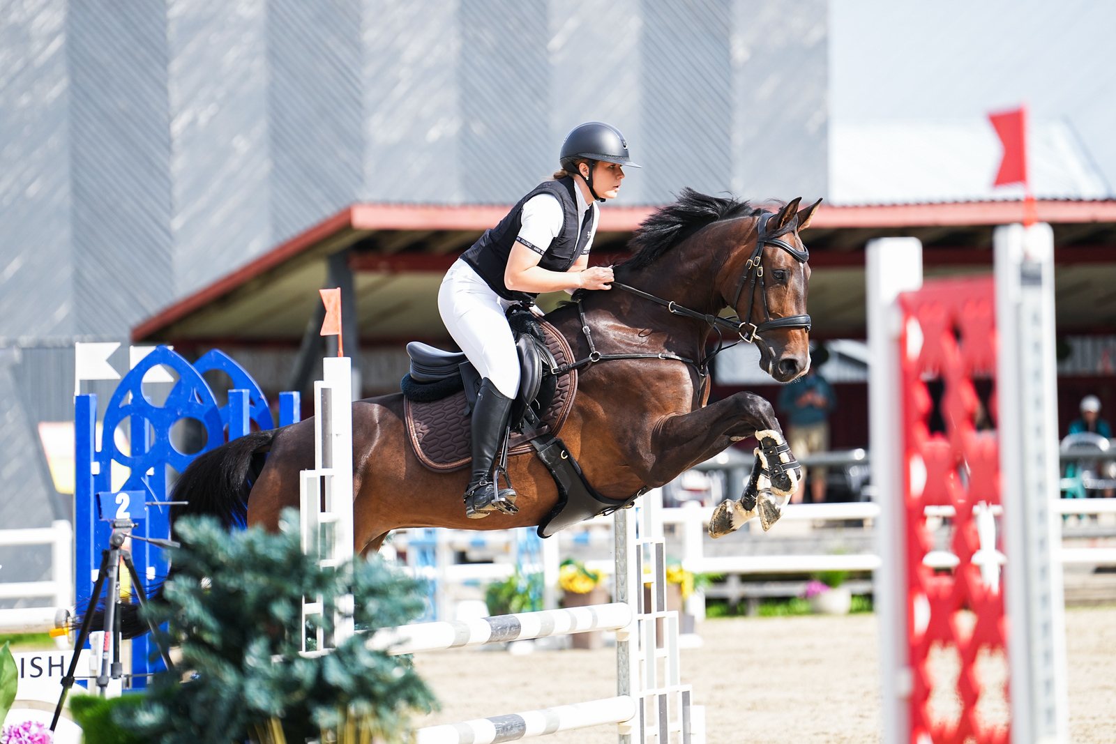 Rider and showjumper clearing a fence at a European competition