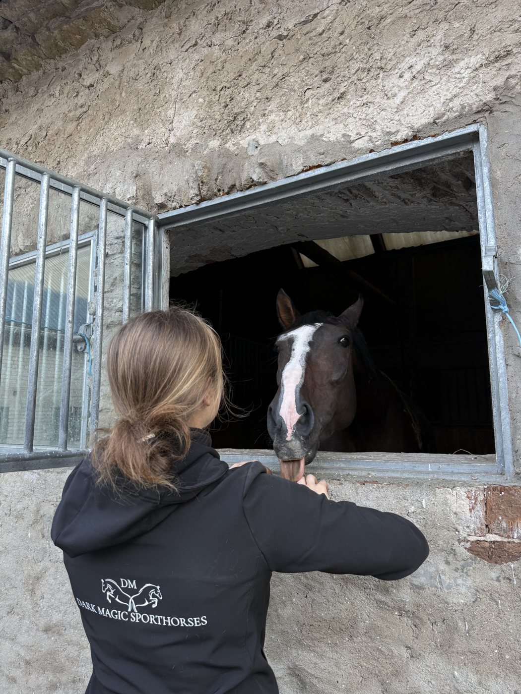 Meeting a horse for sale at the stable door