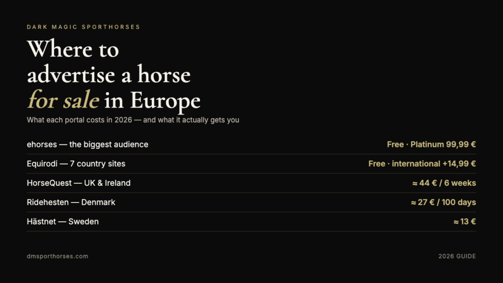 What European horse sales portals cost in 2026: ehorses, Equirodi, HorseQuest, Ridehesten and Hästnet compared
