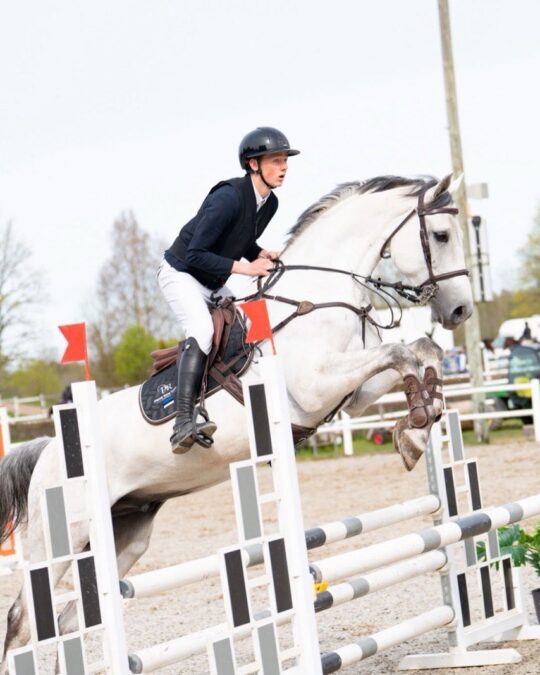 Grey 2018 KWPN gelding jumping a vertical at a showjumping competition in Estonia