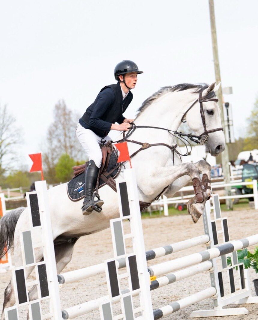 2018 KWPN Gelding, Grey, Jumping 120cm with Scope for More