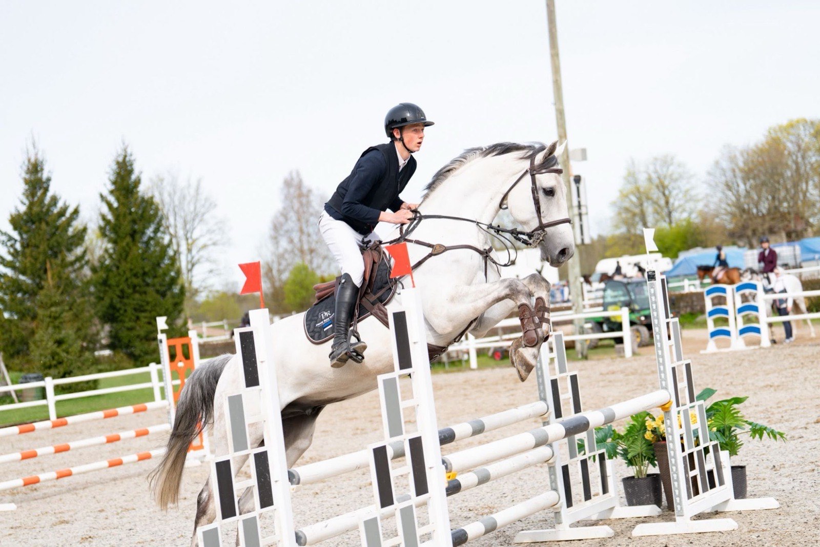 Grey 2018 KWPN gelding jumping a vertical at a showjumping competition in Estonia