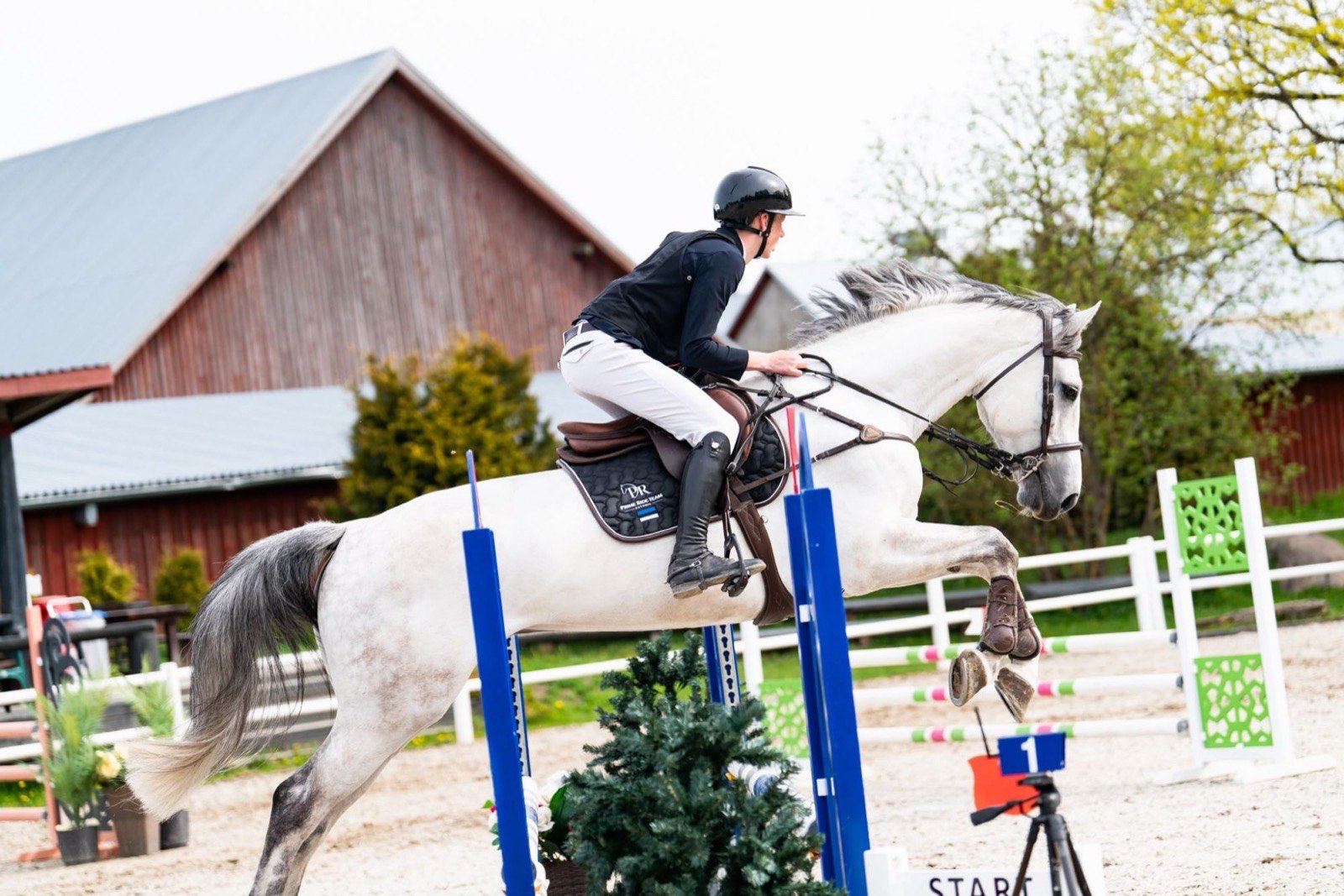 Grey KWPN gelding clearing a blue oxer, seen from the side