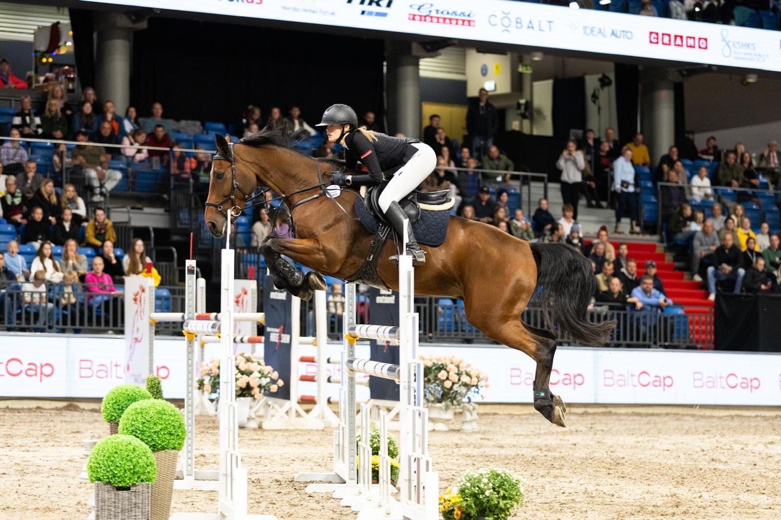 Bay KWPN gelding jumping at an international indoor show in front of a full grandstand