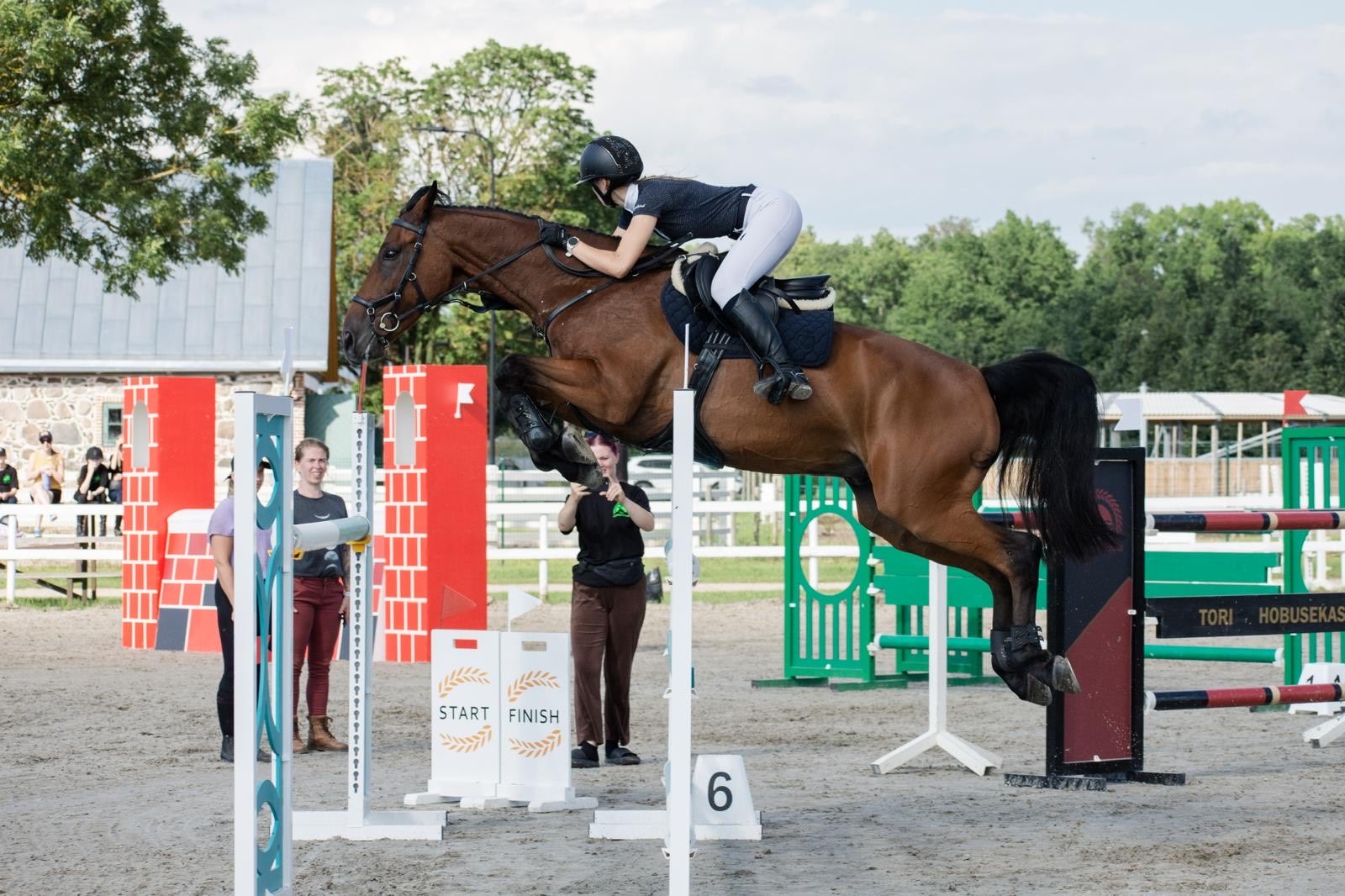 Bay KWPN gelding jumping an oxer in an outdoor arena, clean and even in front