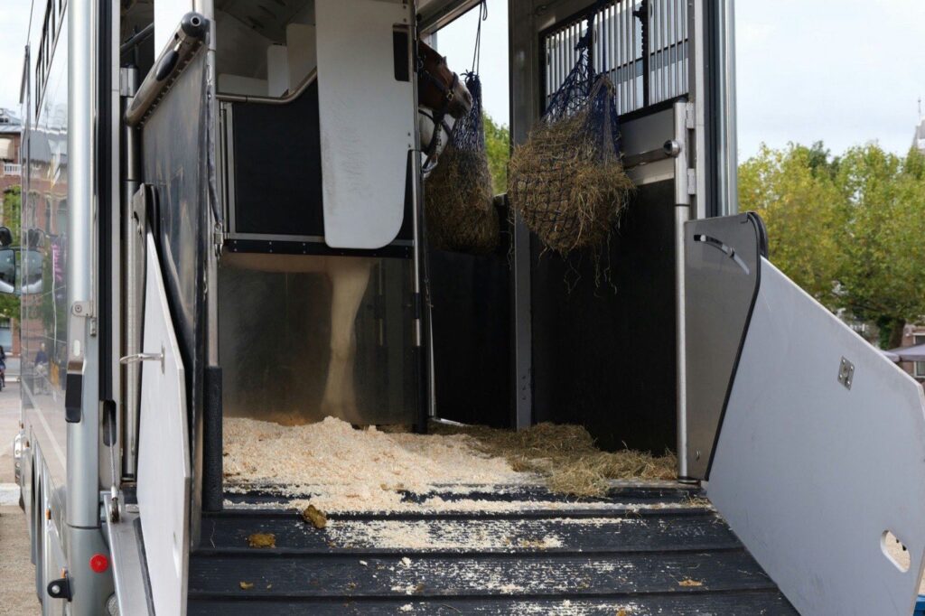 The inside of a horse lorry bedded down with shavings and haynets hung ready for the journey
