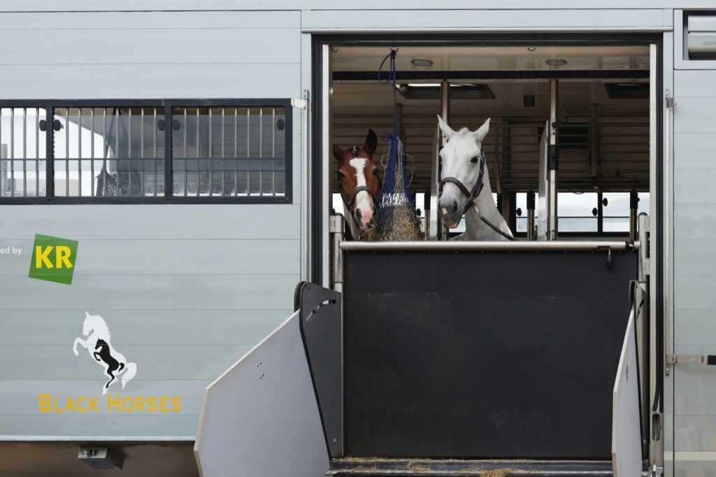Importing a Horse to Spain: Paperwork, Costs and Timing