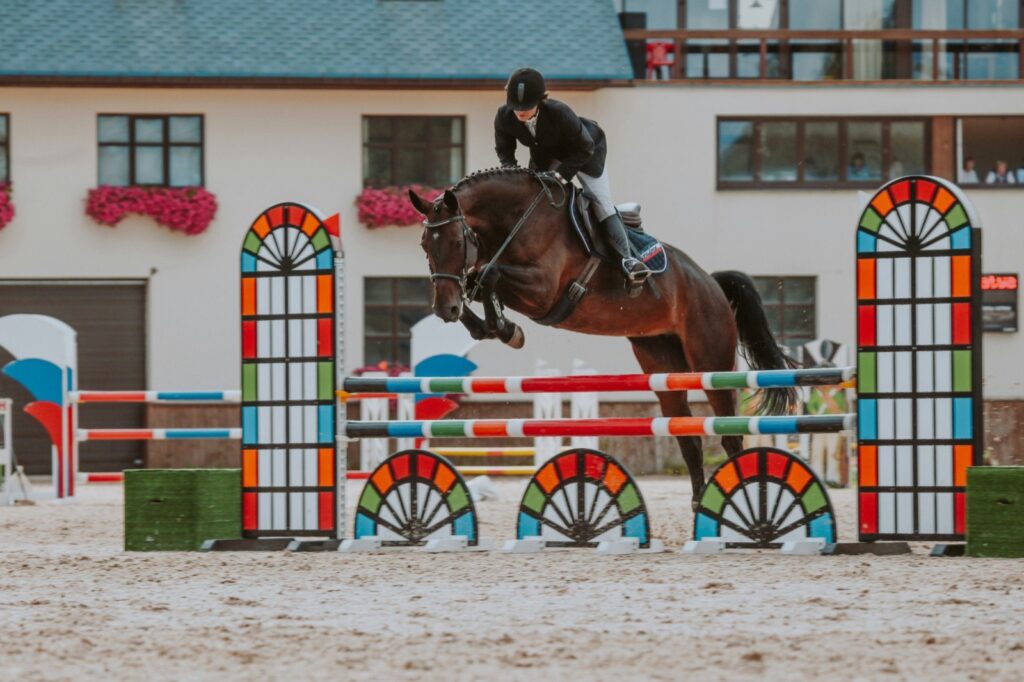 Showjumping Competitions in Spain: Where to Watch and Where to Buy