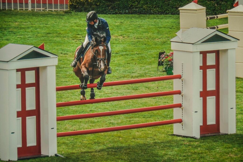 A showjumper jumping a red planks fence on a grass arena